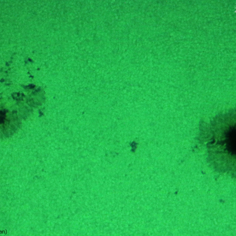 活動領域 3372：2023/07/17