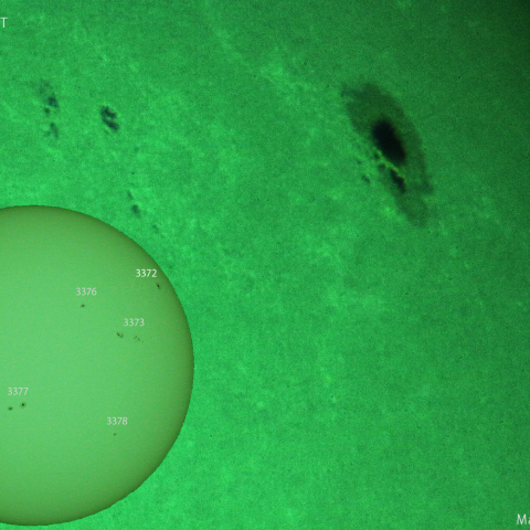 活動領域 3372：2023/07/23
