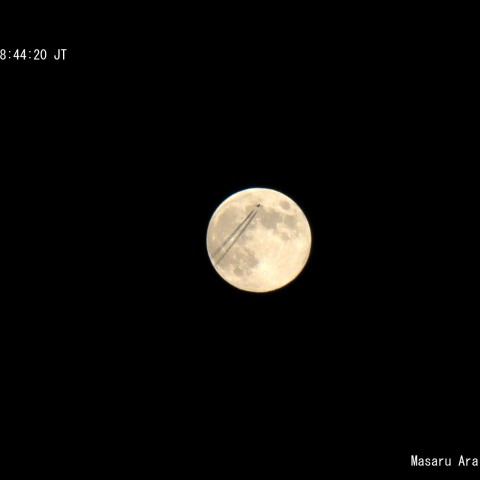 Blue Moon