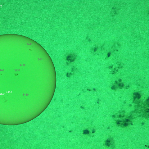 活動領域 3442 ,3445：2023/09/24