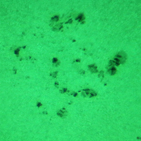 活動領域3445：2023/09/25