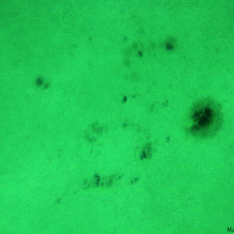 活動領域 3445：2023/09/27