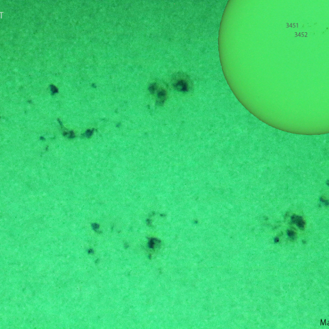 活動領域 3451,3452：2023/10/06