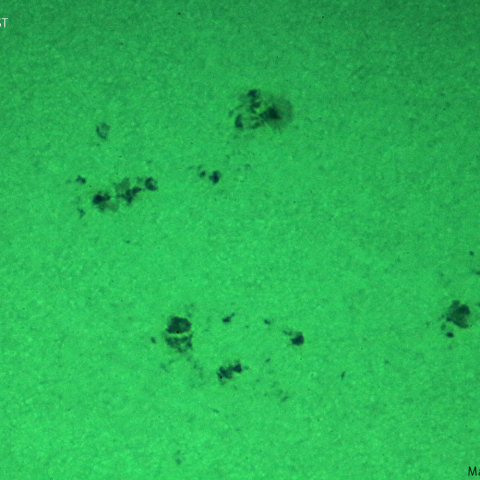 活動領域 3451,3452：2023/10/07