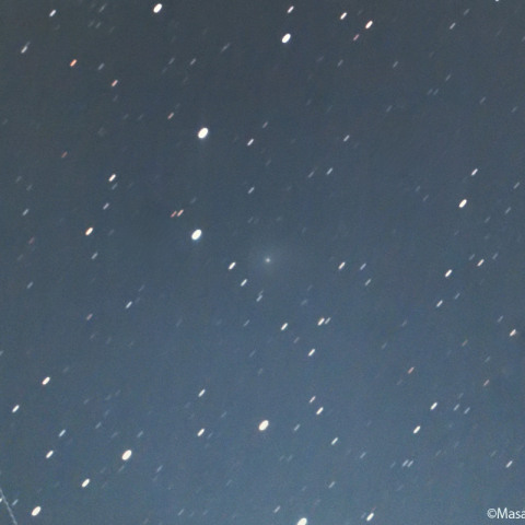 ポン-ブルックス彗星 ( 12P )：2023/10/17