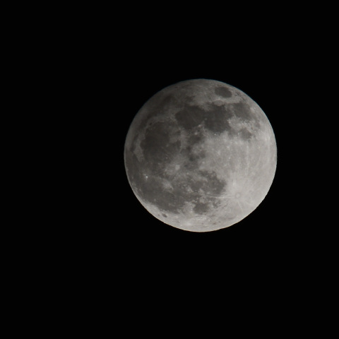 My Beaver Moon / Nov. 30, 2020