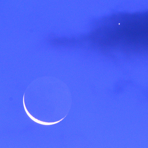 ドラゴン・ボール（雲龍玉図）