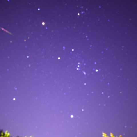 オリオン座流星 出現！〈 2022/10/21 〉