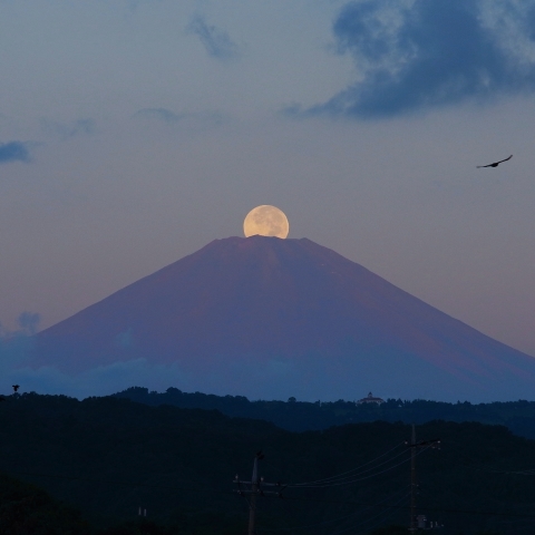 中秋の名月＋パール富士
