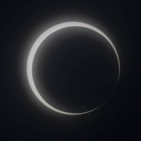 福島羽鳥湖・北限界線付近（北緯37度15分）