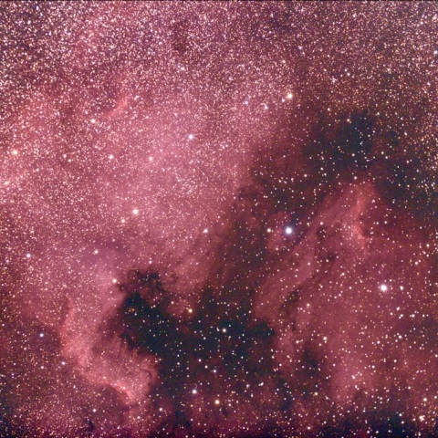 北アメリカ、ペリカン星雲