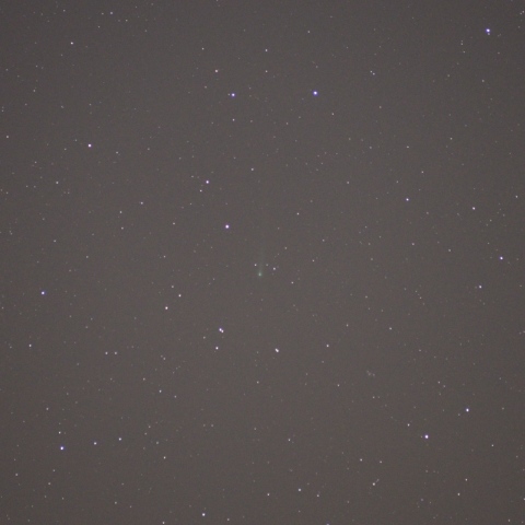 11/9アイソン彗星