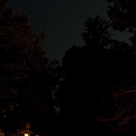 シリウスと春日大社万灯篭