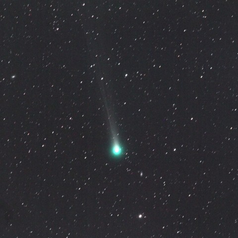 11月23日早朝のLovejoy彗星