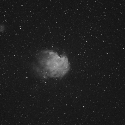 秋のモンキー星雲 (NGC2174)