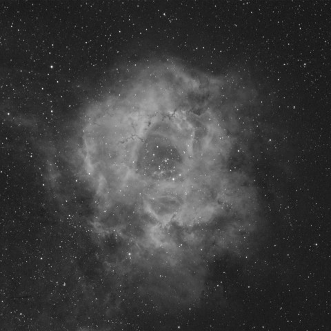 秋のRosetta Nebula (NGC 2237)