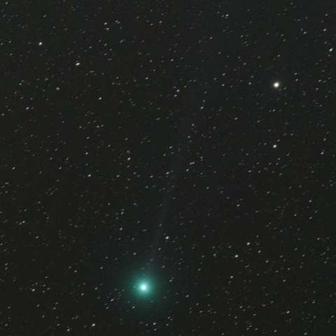 C/2014 Q2 ラヴジョイ 彗星
