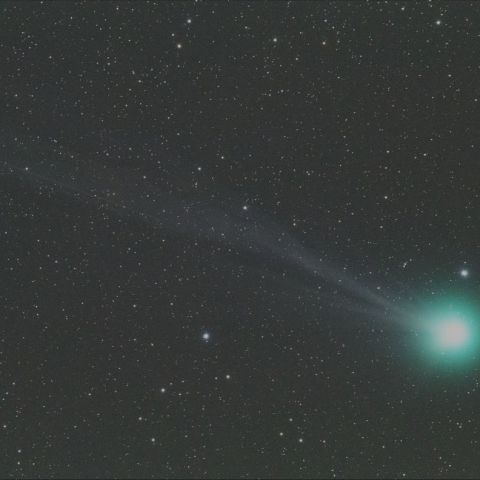 C/2014 Q2 Lovejoy 彗星