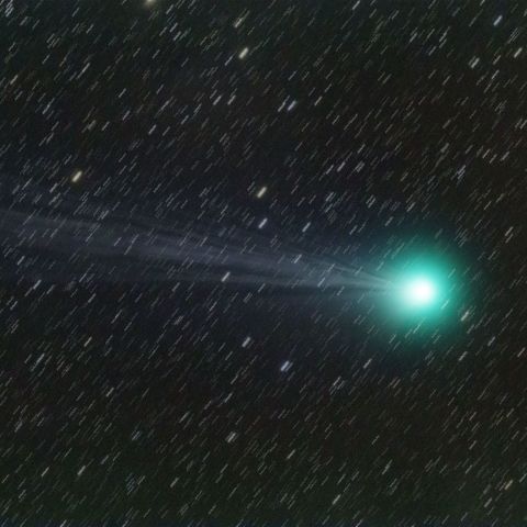 1月17日のC/2014 Q2 Lovejoy