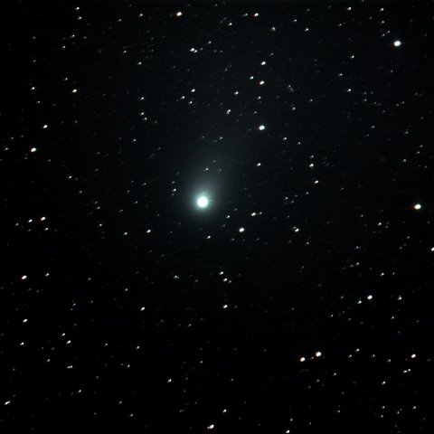 8月5日のC/2009 P1 Garradd 彗星 