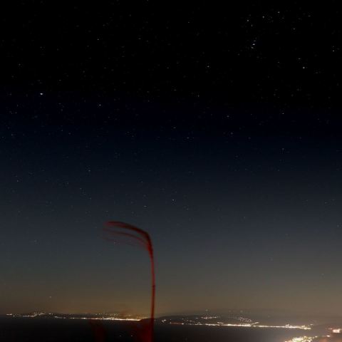 カノープスと季節外れのススキ