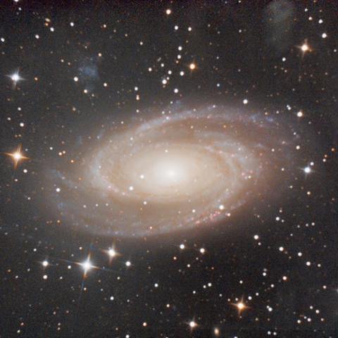M81