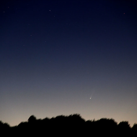 アイソン彗星、水星とランデブー