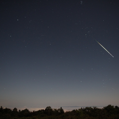 月明かりにも負けずに