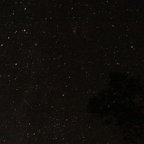 オリオン座流星群の痕