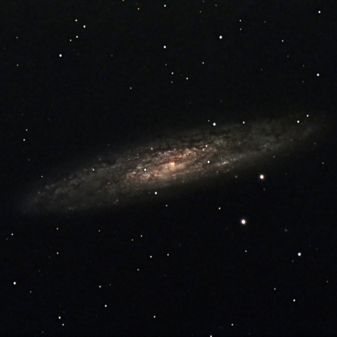NGC253