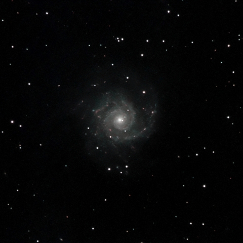 M74