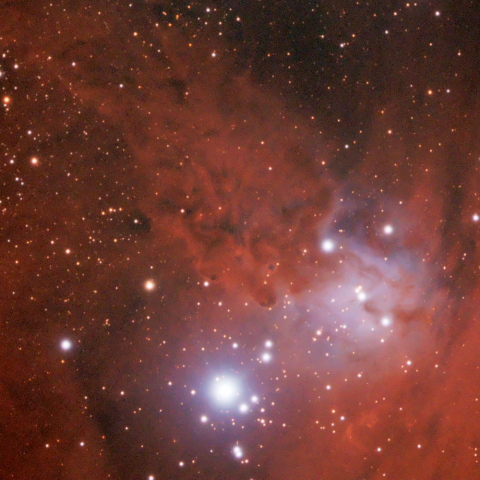 NGC2264_狐の毛皮星雲