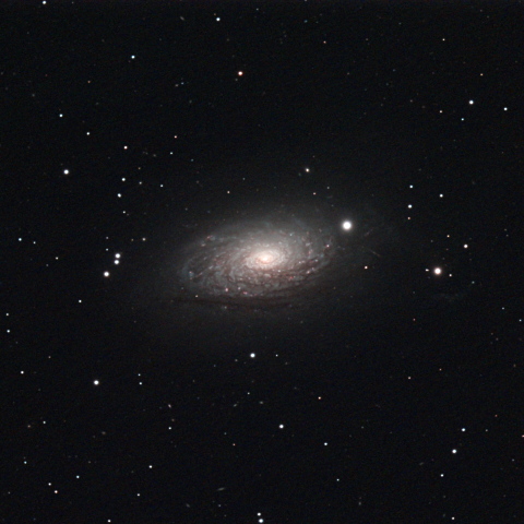 M63