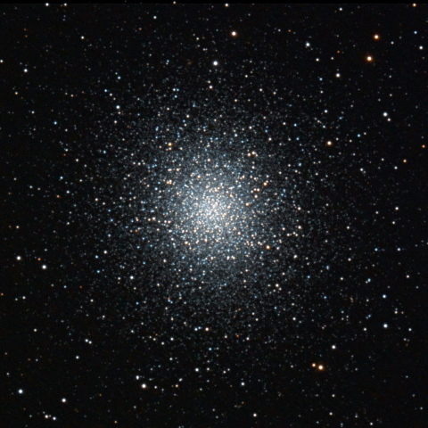 M13