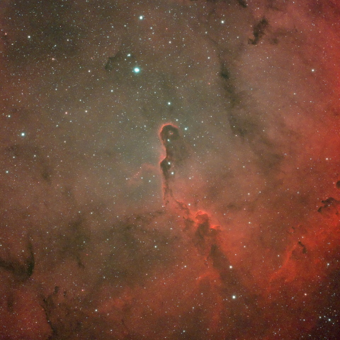 IC1396_(像の鼻星雲)