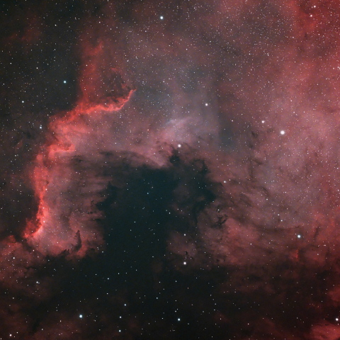 NGC7000