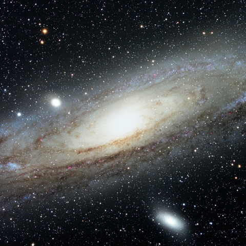 M31