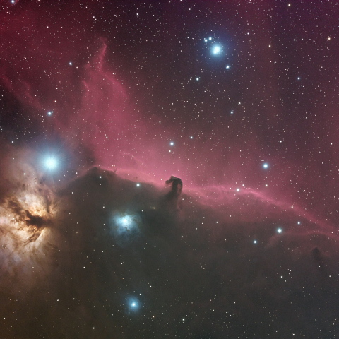 IC434_NGC2024