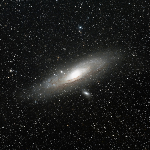 M31
