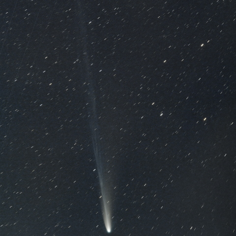 C/2025 A6 (Lemmon)