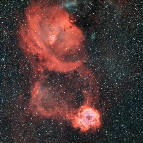 NGC2237~NGC2264 周辺
