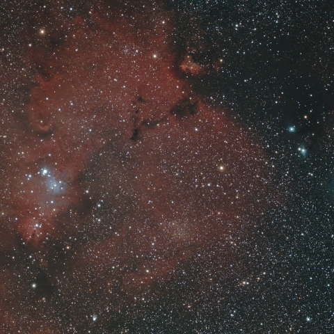 NGC2264_IC2169 周辺