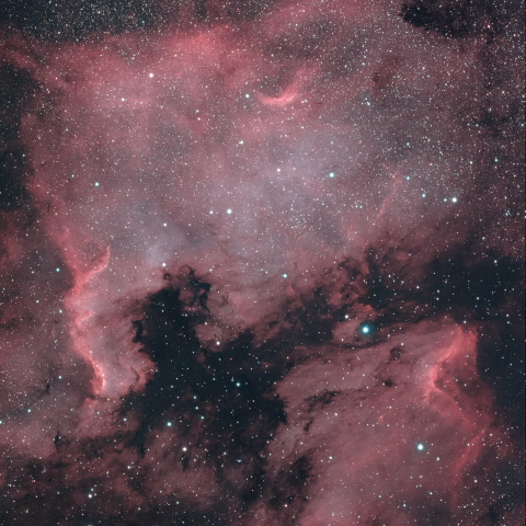 北アメリカ星雲_ペリカン星雲