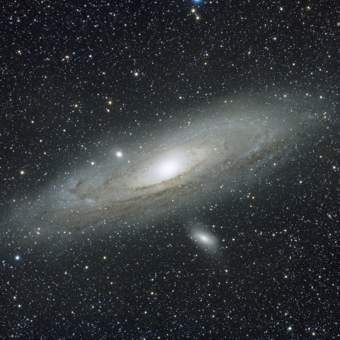 M31