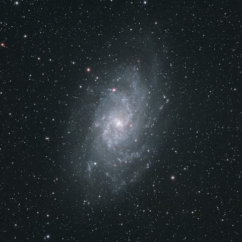 M33
