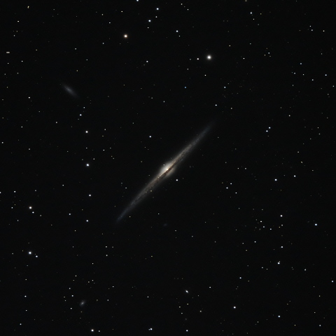 NGC4565