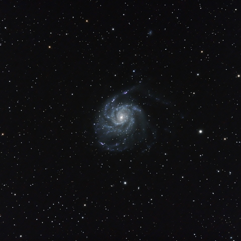 M101