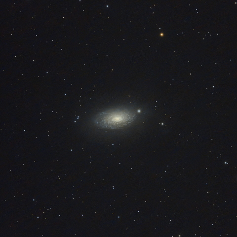 M63