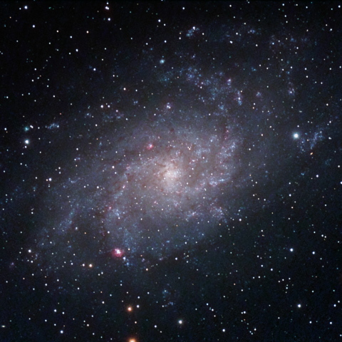 M33