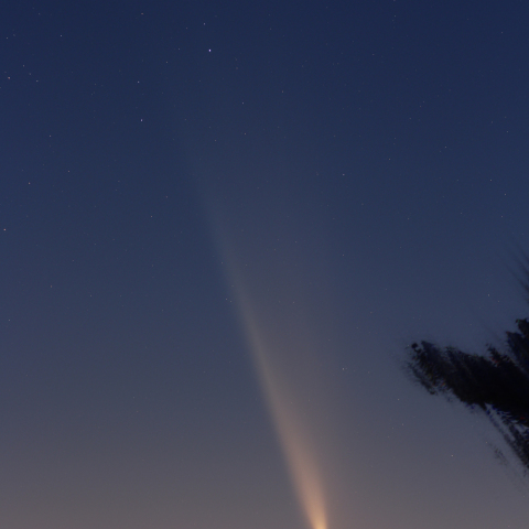 紫金山・アトラス彗星　2024.10.13